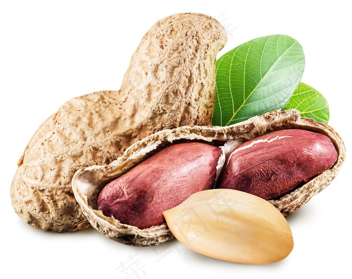 可口饱满的红皮花生高清图片蔬菜图片