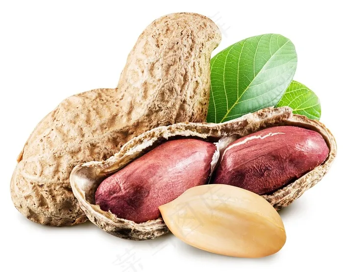 可口饱满的红皮花生高清图片蔬菜图片