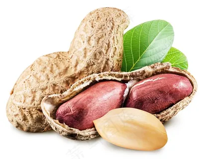 可口饱满的红皮花生高清图片蔬菜图片