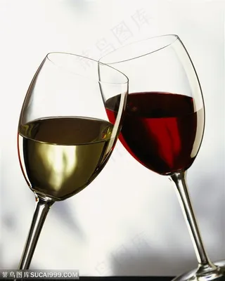 动感酒水-两杯倾斜的高脚杯