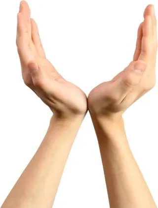 手 PNG, 手图像免费免抠