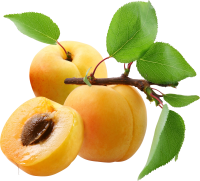 123_peach_PNG4832