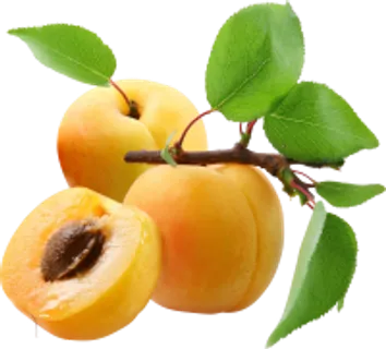 123_peach_PNG4832