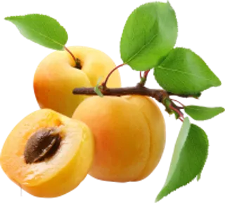 123_peach_PNG4832