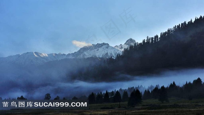 西藏鲁朗森林山脉风景