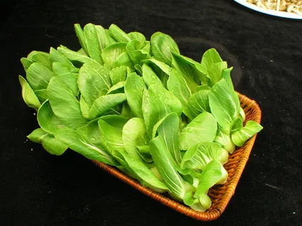 油菜心       油菜心