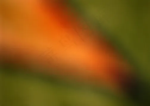 流光彩影 1