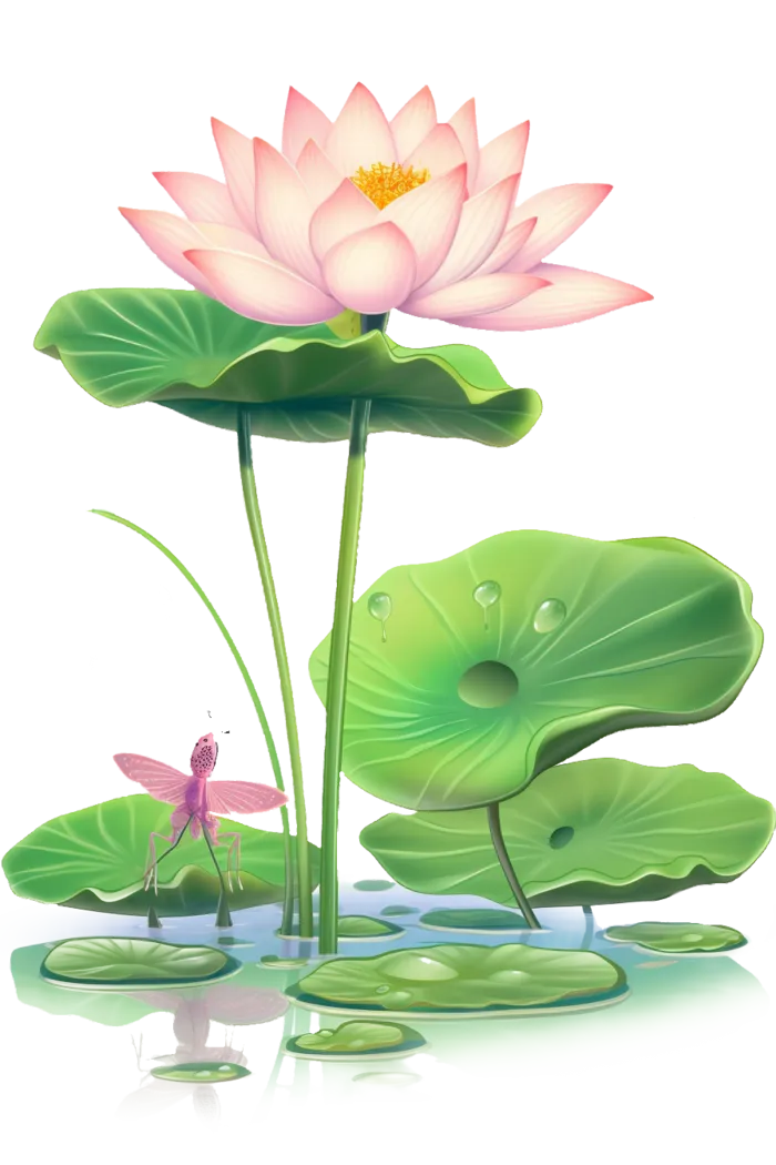 卡通莲花免抠图