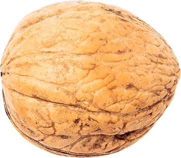 02_Walnut