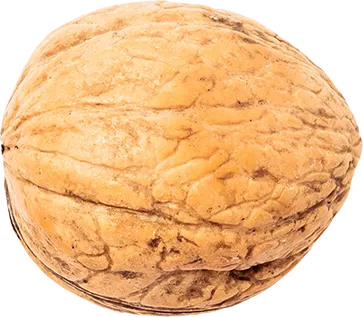 02_Walnut