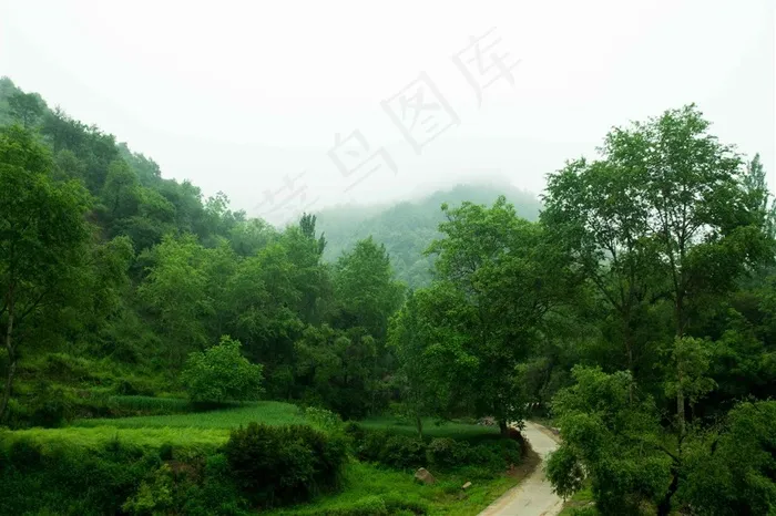 甘肃云雾山风景图