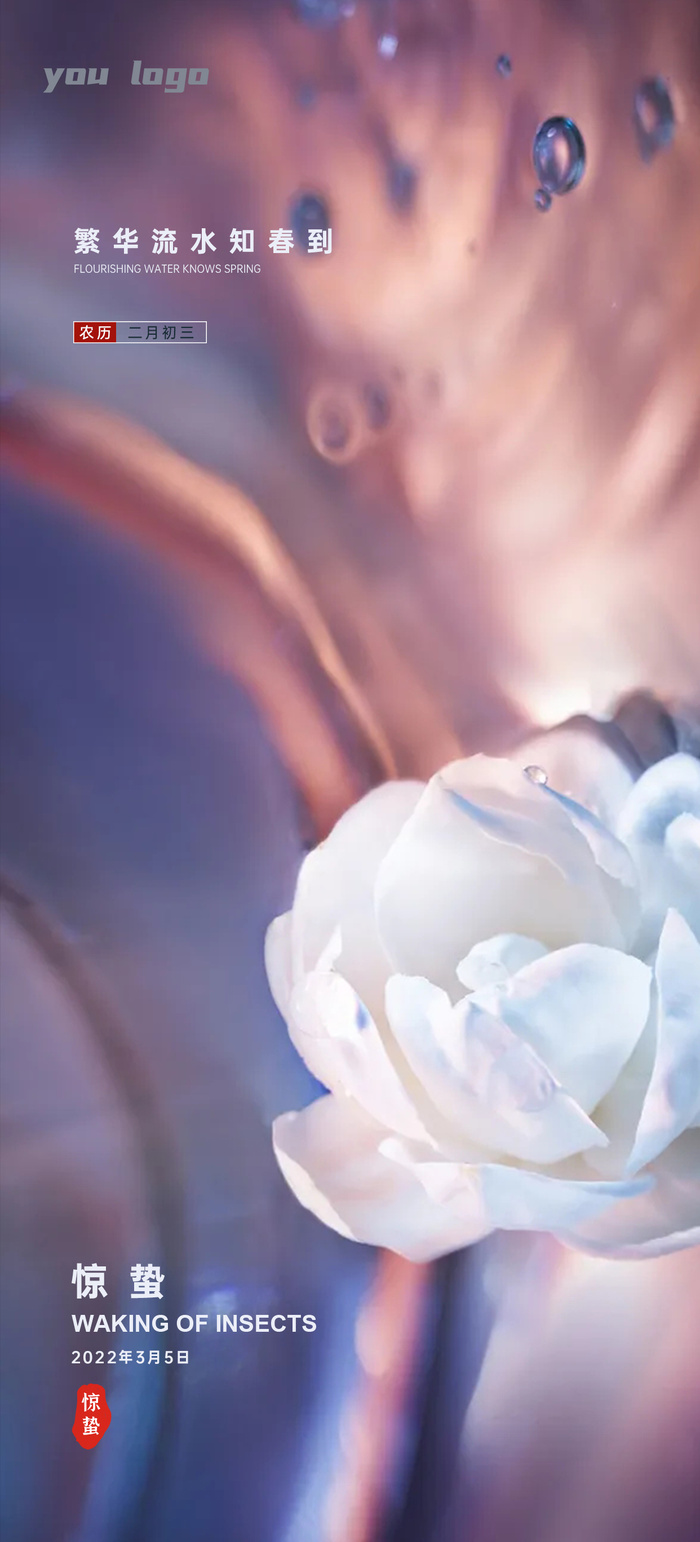 惊蛰节气海报设计PSD素材