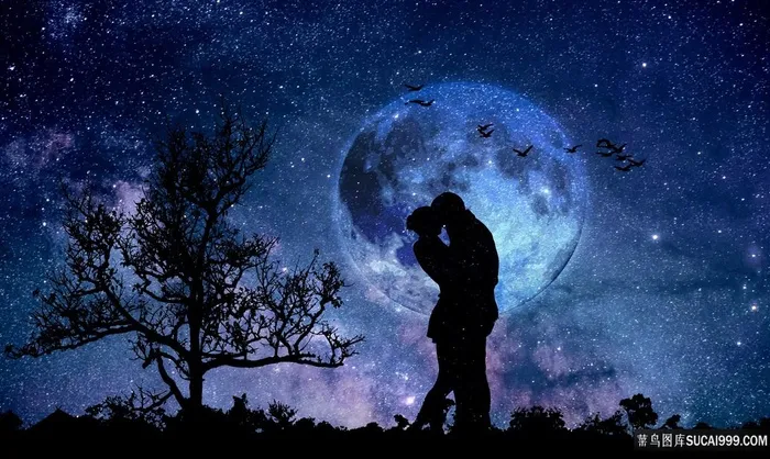 星空下的恋人剪影