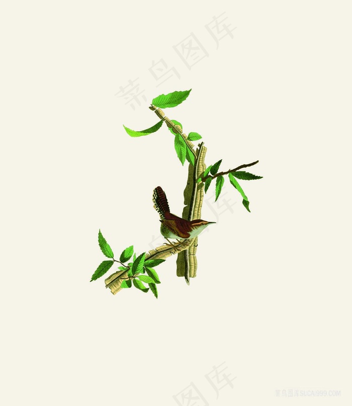 树枝鸟唯美装饰画
