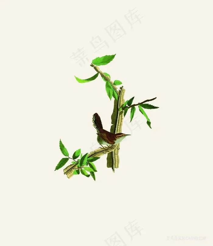 树枝鸟唯美装饰画