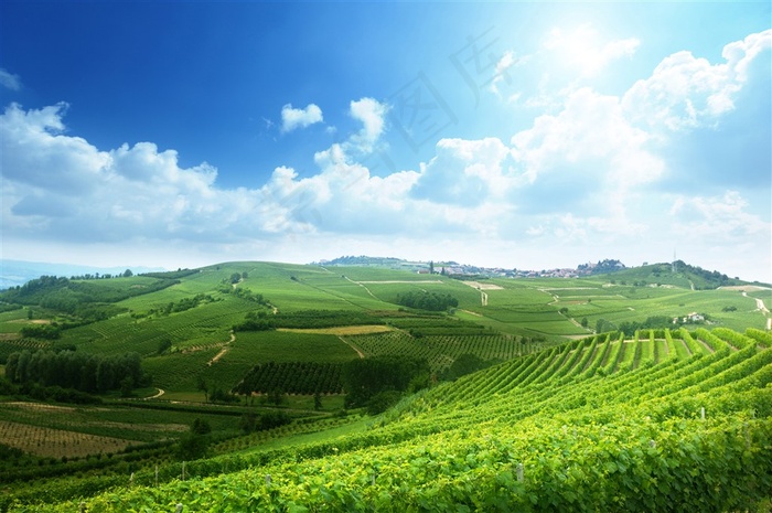 美丽的田园景色