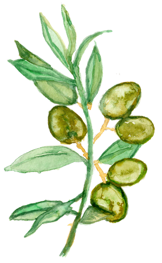 唯美森系手绘水彩花朵 免抠