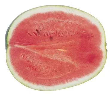 唯美西瓜图片 唯美西瓜图片