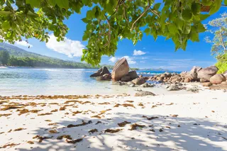 唯美海滩意境图片