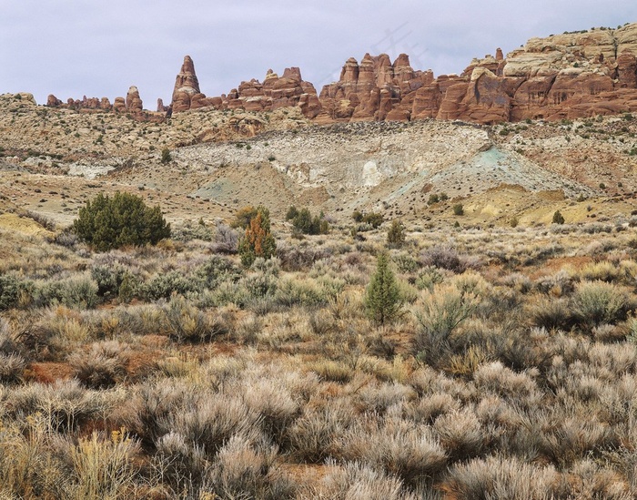 石林脚下的草滩