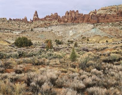 石林脚下的草滩