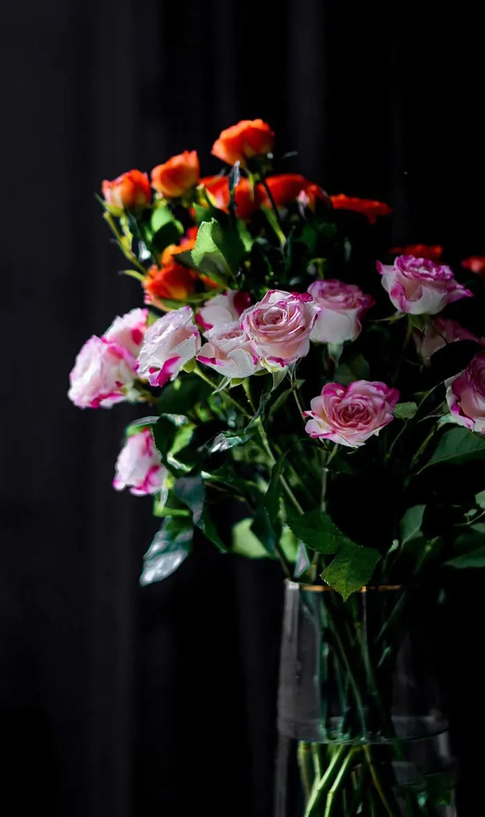 瓶中鲜花图 瓶中鲜花图