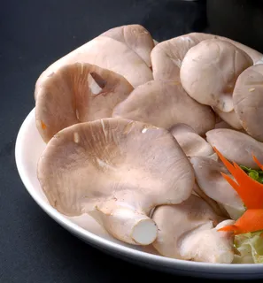 蘑菇香菇金针菇杂菇菌类美食素菜
