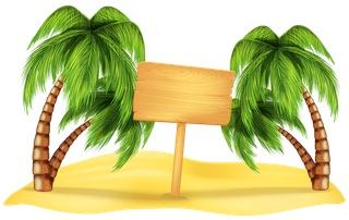 夏天椰树插画