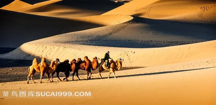 荒凉的沙漠风景大图