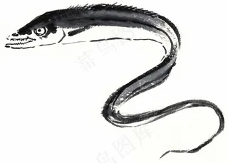 国画鱼虾蟹龟国画图片摄影图片