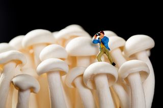 火锅菜品配菜香菇蘑菇杂菌菌类小人创意图片