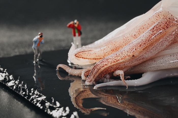 火锅菜品配菜鱿鱼鲜鱿