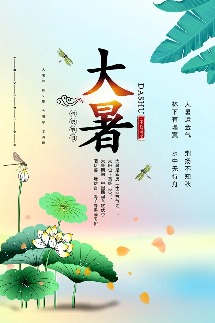 节气大暑海报psd模版下载