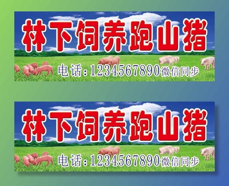 跑山猪喷绘psd模版下载