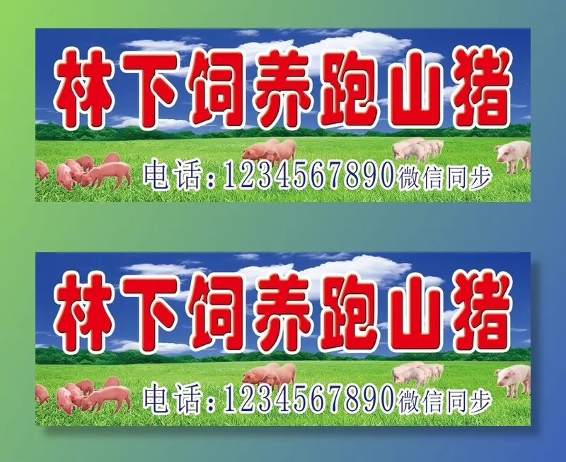跑山猪喷绘psd模版下载