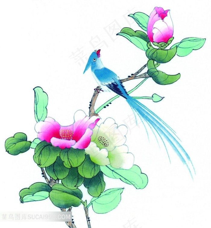 工笔画树枝上的小鸟