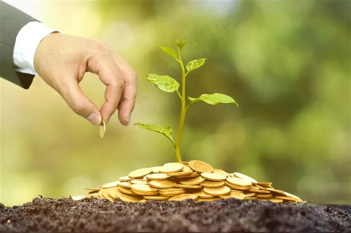 土地上堆放的金币上生长的植物高清图片