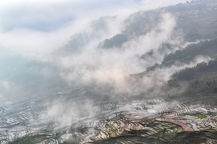 红河撒马坝梯田