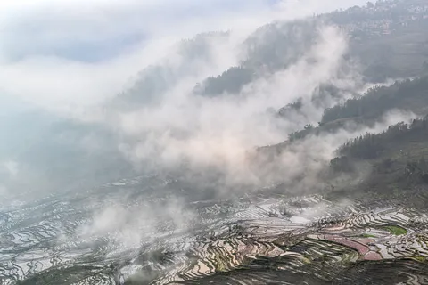 红河撒马坝梯田