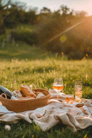 春天户外草坪野餐篮子露营食物酒面包摄影