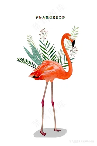 火烈鸟树枝水彩插画