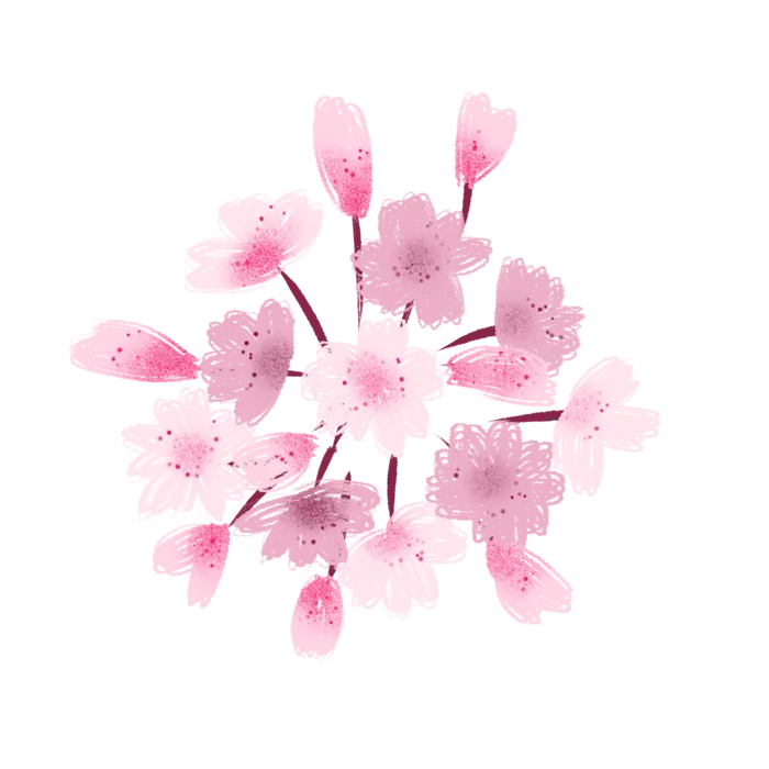 春天浪漫粉红色樱花手绘樱花梅花桃花花朵图片PNG免扣素材