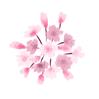 春天浪漫粉红色樱花手绘樱花梅花桃花花朵图片PNG免扣素材