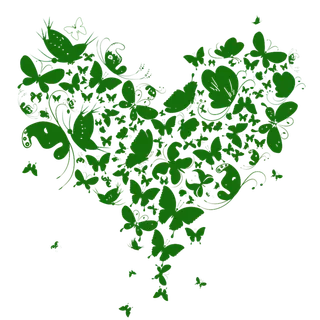 蝴蝶动物情人节