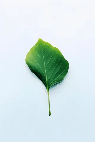 白底绿叶简约清新背景