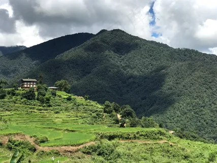 乡村田园风光图片 乡村田园风光图片