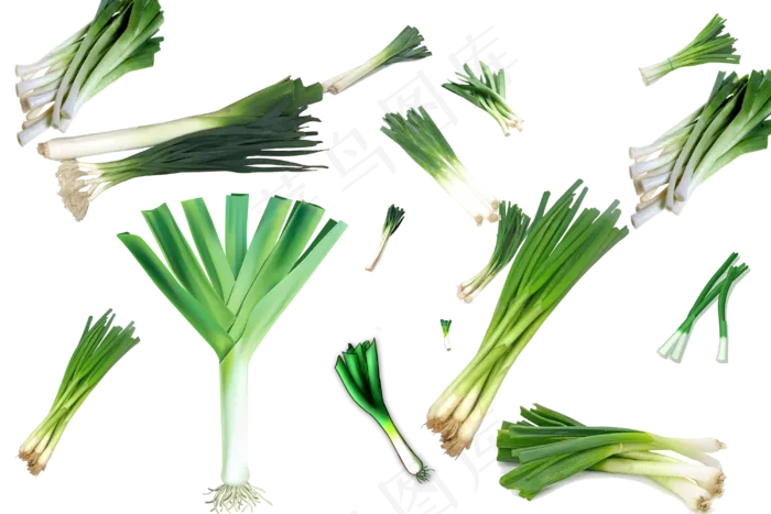 蔬菜、水果、作料