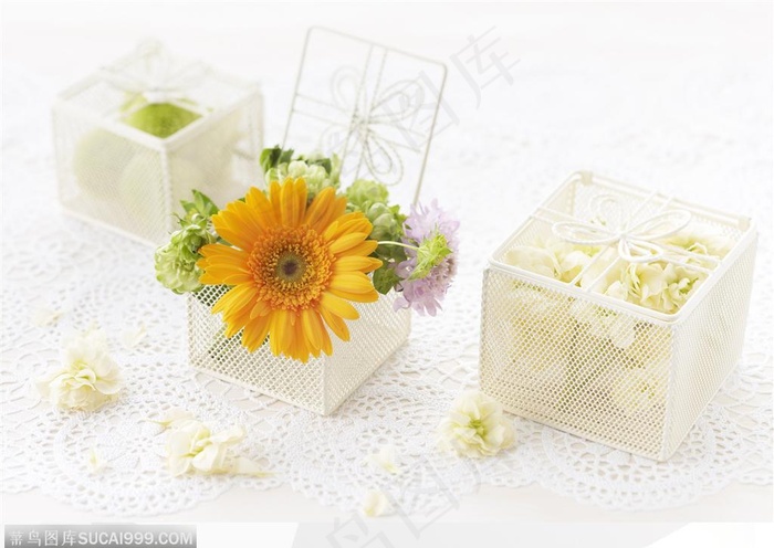 菊花和礼物 礼盒