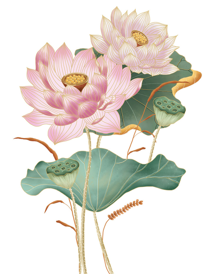国潮中国风手绘荷花莲花荷叶莲藕植物花卉装饰插画PSD设计素材