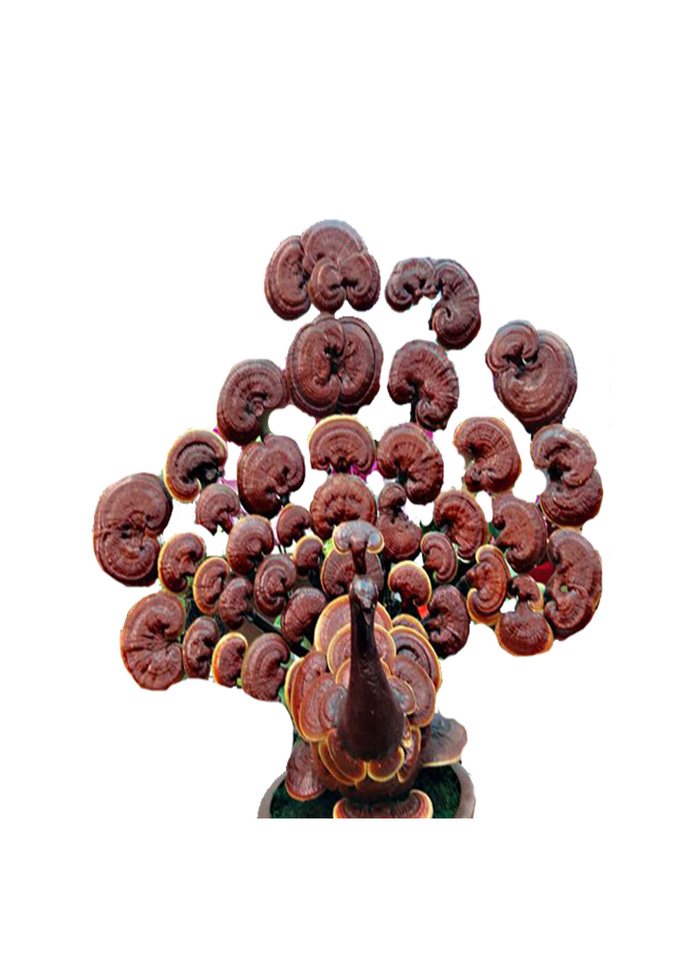 雕塑艺术psd素材